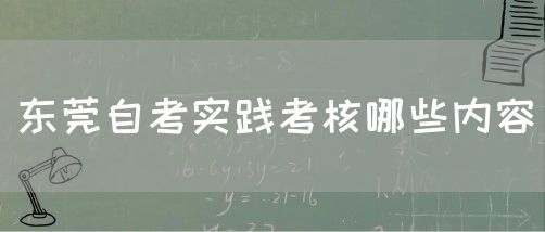 东莞自考实践考核哪些内容(图1)